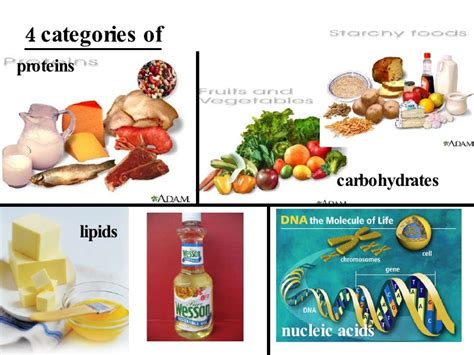 Unit 6 Biochem