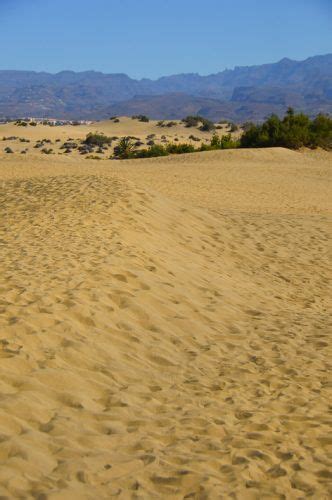 8 Best Things To Do In Maspalomas I Boutique Adventurer