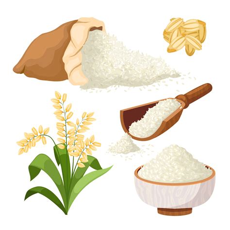 Rice Grain Set Cartoon Vector Illustration 17414863 Vector Art At Vecteezy