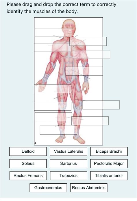 Scholars debate whether the term fervently is being used correctly today 3