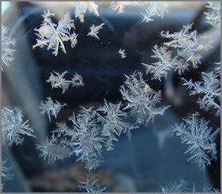 Frost at Midnight | Home Garden Companion