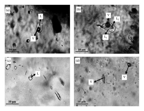 Photomicrographs Of Different Fluid Inclusions In Quartz From Layered