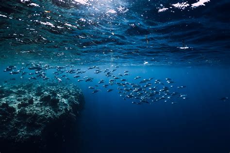 "Join Ocean Action 2030 - A Sustainable Future with Ocean Panel"
