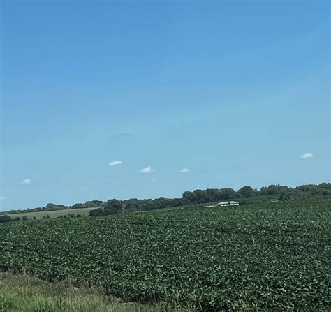 Darin D Fessler On Twitter Lancaster County Ne Soybeans Have