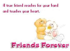 Forever friends - a true friend