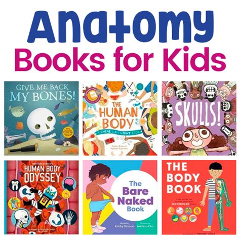 Your Body and You: The Best Anatomy Books for Kids! - Happily Ever ...