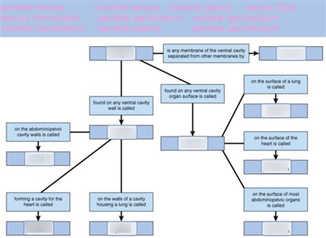 Mastering A And P Concept Map Body Cavities And Membranes Cornie