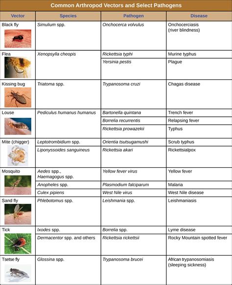 16.3 – Modes of Disease Transmission – Microbiology 201
