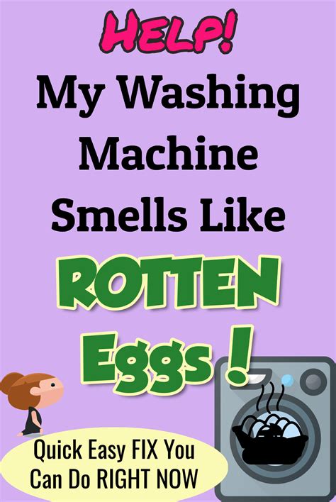 Washing Machine Smells Tried Everything Smelly Washing Machines