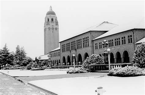 Winter wonderland | Stanford News