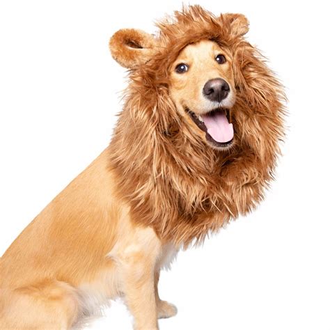 Pet Krewe Lion Mane Dog Costume | Black-Owned