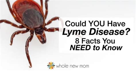 What is Lyme Disease? 8 Lyme Disease Facts You Need to Know