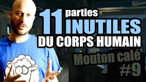 11 parties INUTILES du corps humain Mouton calé 9 YouTube