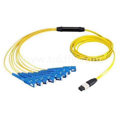 Mpo Mtp Sc Mpo Mtp Sc Fiber Optic Assembly Breakout Fanout Cable