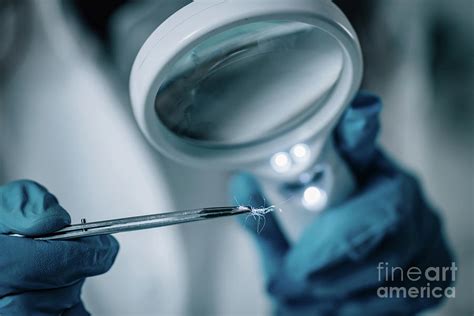 Forensics Expert Examining Crime Scene Evidence Photograph By Microgen Images Science Photo