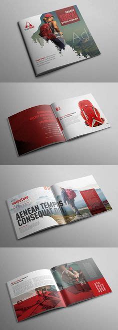 520 Best Field guide ideas | brochure design, layout design, field guide