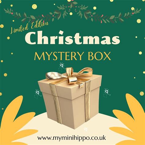 Limited Edition Christmas Mystery Box Baby Only My Mini Hippo