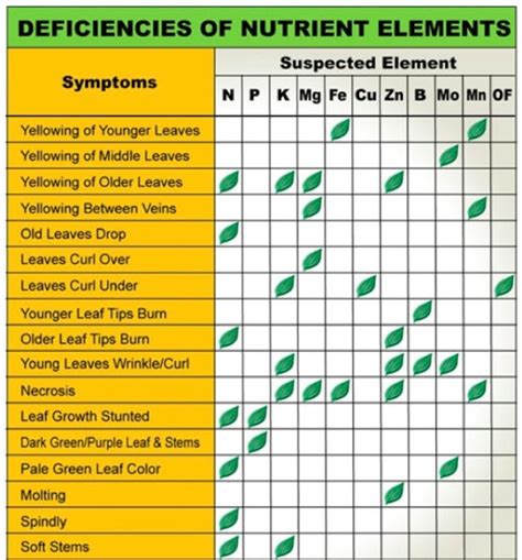 Plant Nutrient Deficiency Leaf Illustrations and Charts Reference Guide | Big Picture Agriculture