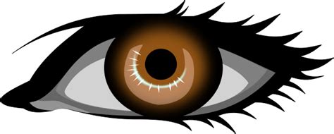 Brown Eyes Clipart - ClipArt Best