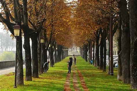 I Luoghi Pi Spettacolari Dove Ammirare Il Foliage In Lombardia