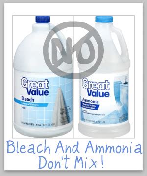 Bleach And Ammonia - Don't Mix These Items Together {Safety Warning}