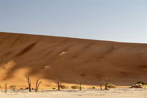 Deadvlei Oc 5521x3681 Sossusvlei Namibia Rearthporn