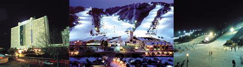 Vivaldi Park – Night Ski,Snowboard with Lesson | KoreaTravelEasy