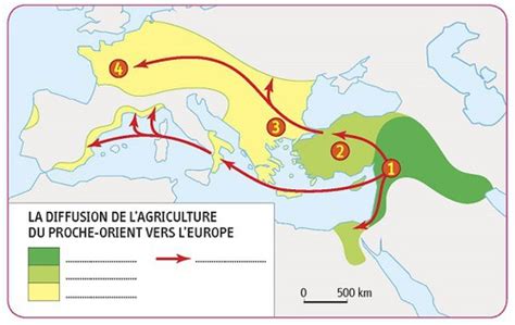 Quiz La Révolution Néolithique History