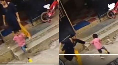 Watch Video Mother Saves Son From Being Attacked By A Snake In The