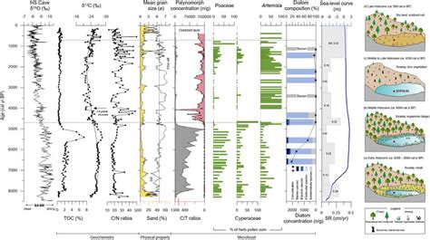 Schematic reconstruction showing the Holocene vegetation cover and ... 