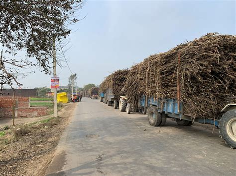 यूपी पूर्वांचल में एक एक कर बंद होती चीनी मिलें चिंता का सबब क्यों