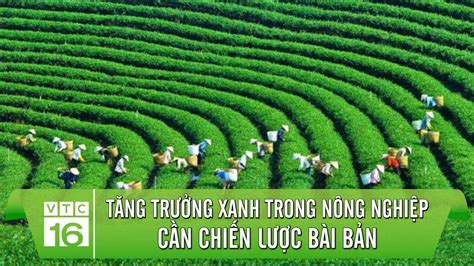 Tăng trưởng xanh trong nông nghiệp cần chiến lược bài bản VTC16 YouTube