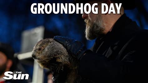 Groundhog Day Punxsutawney Phil Predicts An Early Spring YouTube