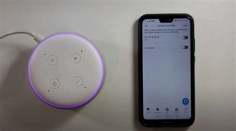 What Does A Purple Light On Alexa Mean Storables