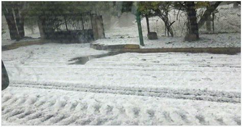 Low Temperatures And White Landscapes In The State Of Guanajuato San