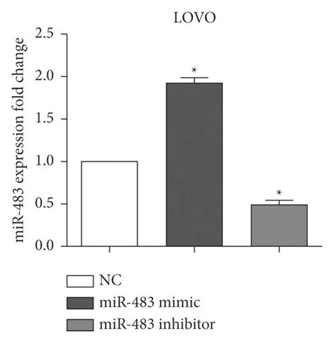 Mir 483 Promoted The Proliferation And Invasion In Colorectal Cancer