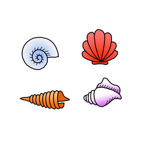 How To Draw A Shell