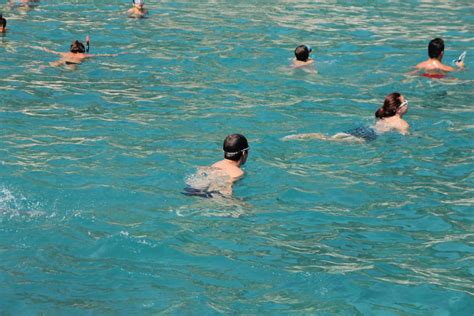 Imagen gratis: natación, nadador, piscina, tubo respirador, agua, Mar
