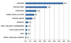 Bird Strike Statistics | ICAO | IBIS | Bird strike prevention | Scarecrow