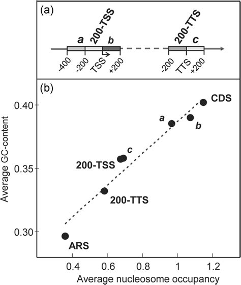 (a) Schematic representation of the regions located near the TSS and ... 
