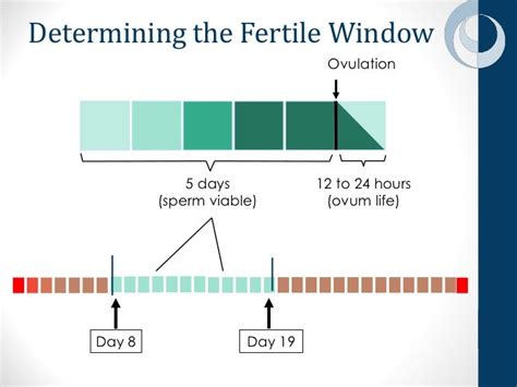 Mother Nature And Reproduction Standard Days Method® Using Cyclebeads®