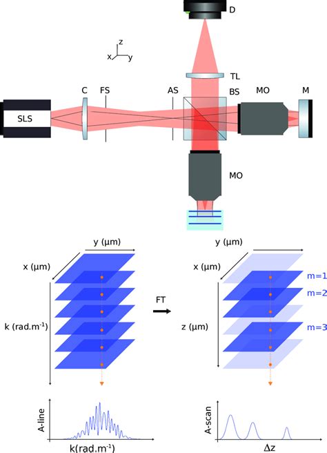 Principle Of The Full Field Swept Source Optical Coherence