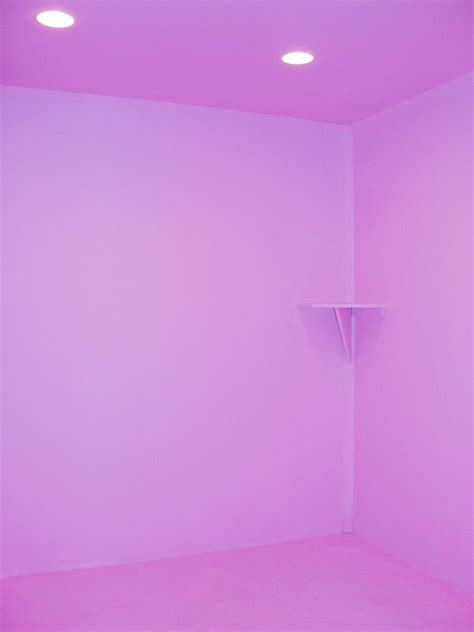 pink vagina exhibition chun hua catherine dong