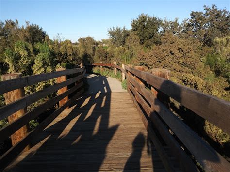 Beckwith Wildlife Observation Area