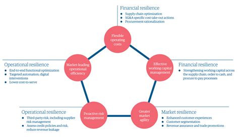 Cultivating Economic Resilience Through The Lens Of Multiplicity