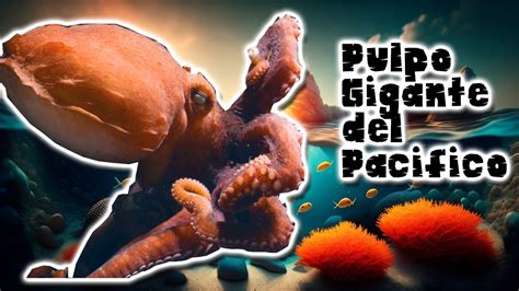 La Asombrosa Vida Del Pulpo Gigante Del Pac Fico Documental Del