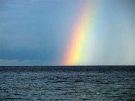 Морское.... Обсуждение на LiveInternet - Российский Сервис Онлайн-Дневников