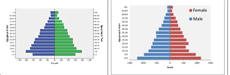 Population Pyramids Of The Surveillance Population In Hiri In 2015