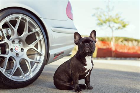 Nice And Low Mercedes E55 On Hre P40sc Conical