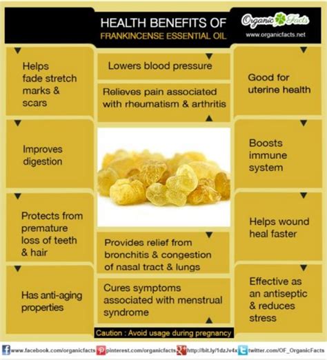 10 Health Benefits Of Frankincense Essential Oil